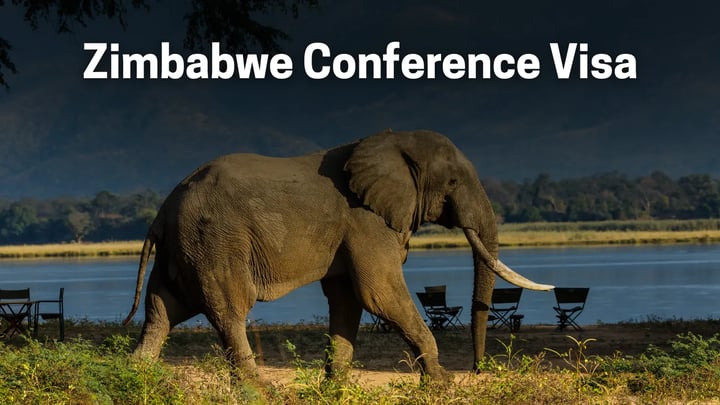 Zimbabwe Conference eVisa