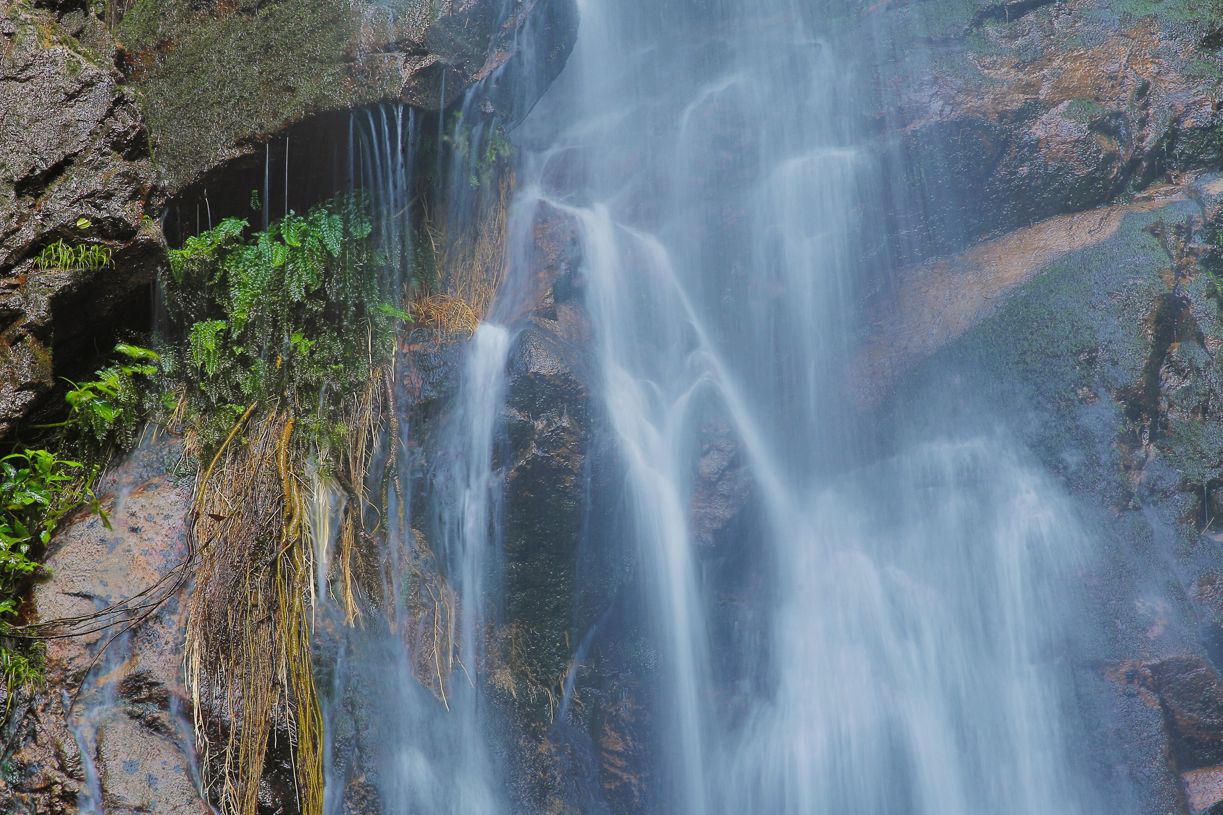 Wasser stürzt über Felsen in einem üppigen Wald