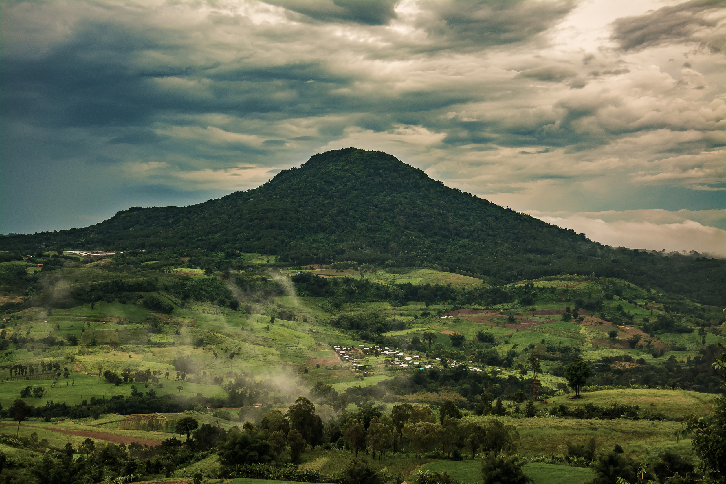 Scène de montagne avec verdure et brouillard