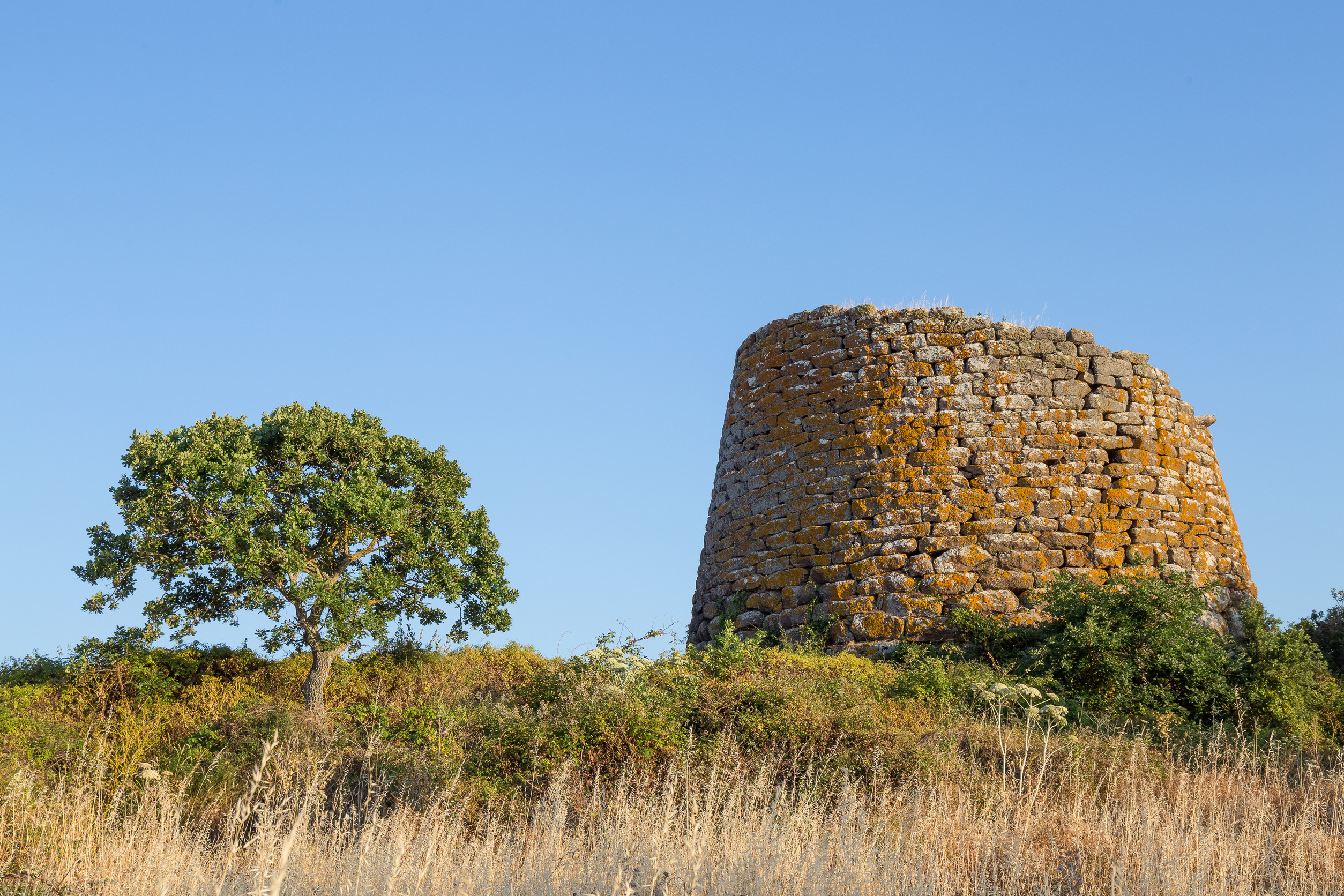 A tall, round stone tower stands on a grassy hill with a single tree in the foreground