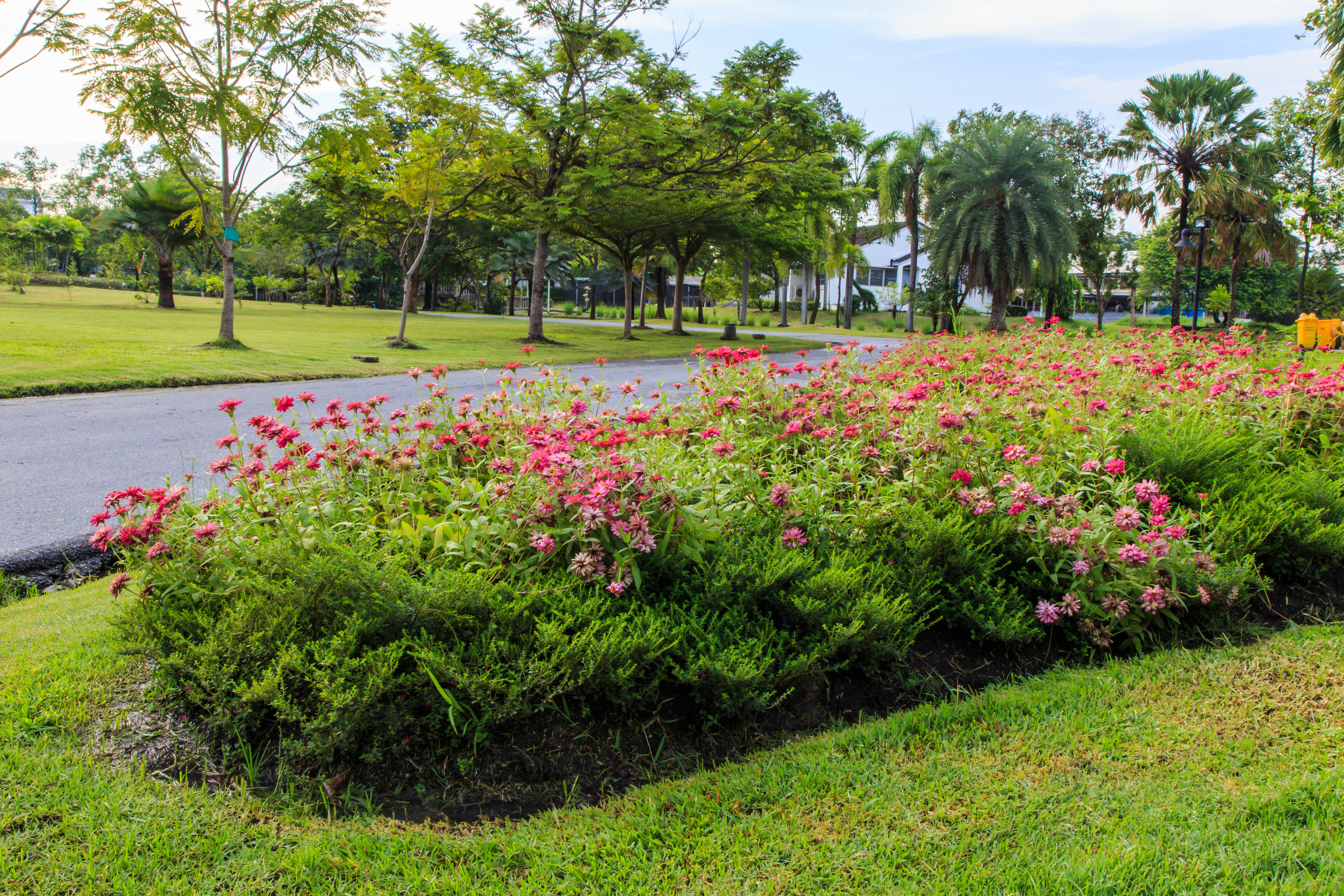 Schöner Garten mit rosa Blumen und grünen Bäumen in einem Park