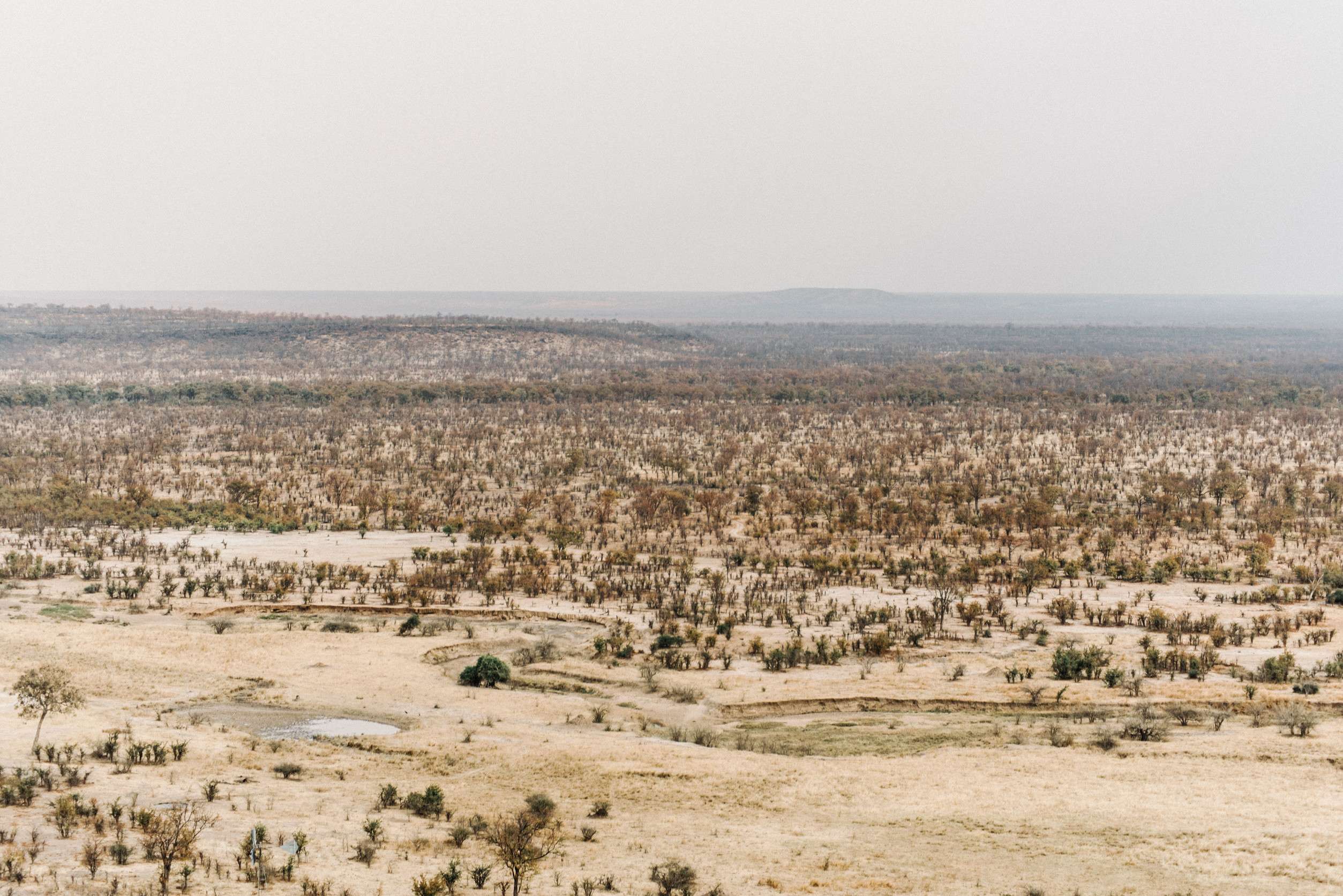 Vue d'en haut du parc national de Hwange au Zimbabwe, en Afrique