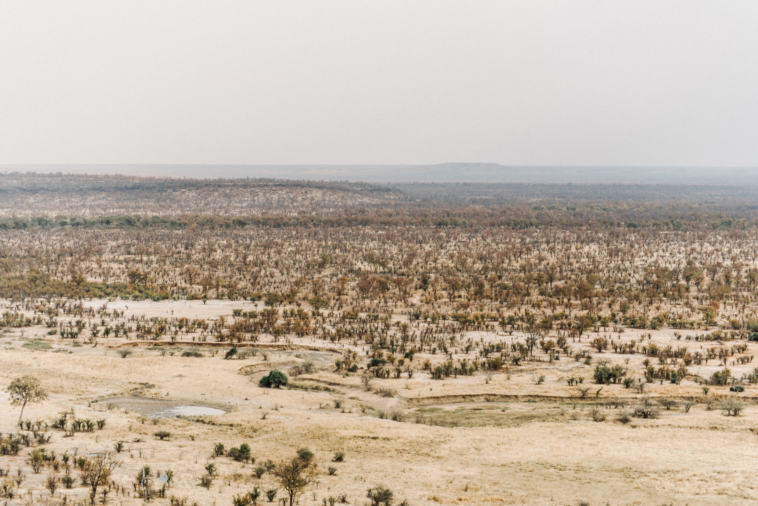 Hwange National Park