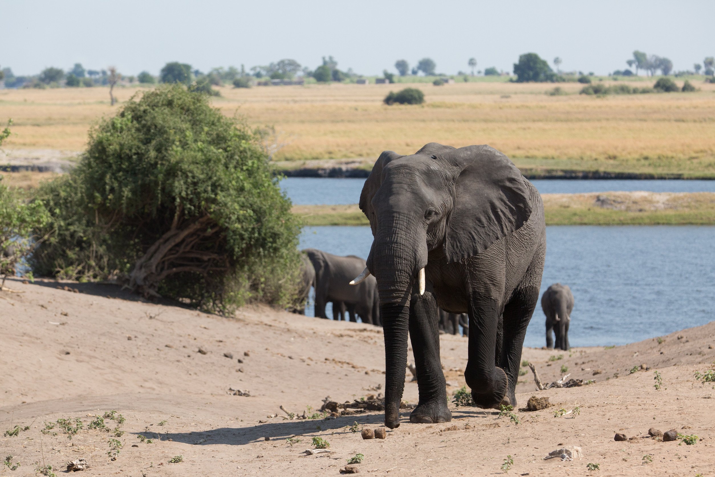 Hwange National Park