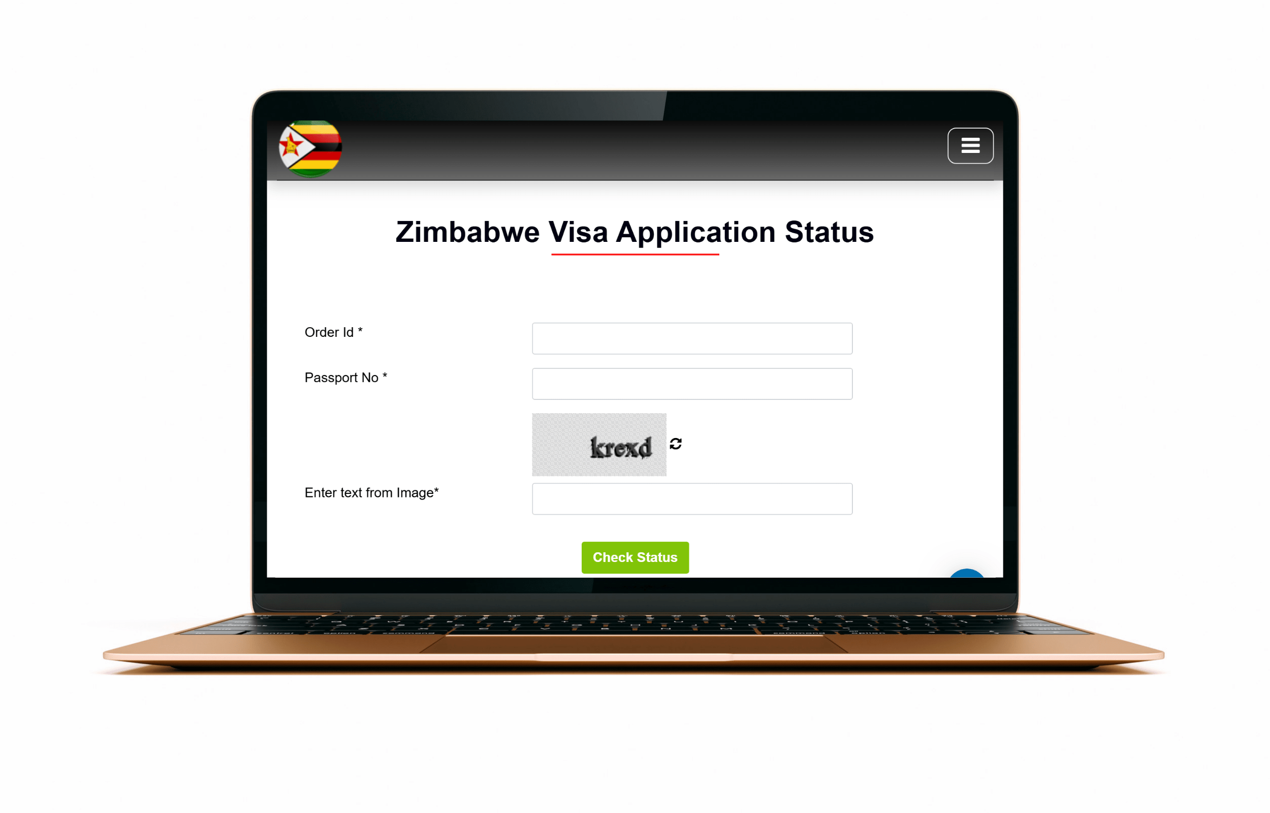 imbabwe e visa for djibouti status