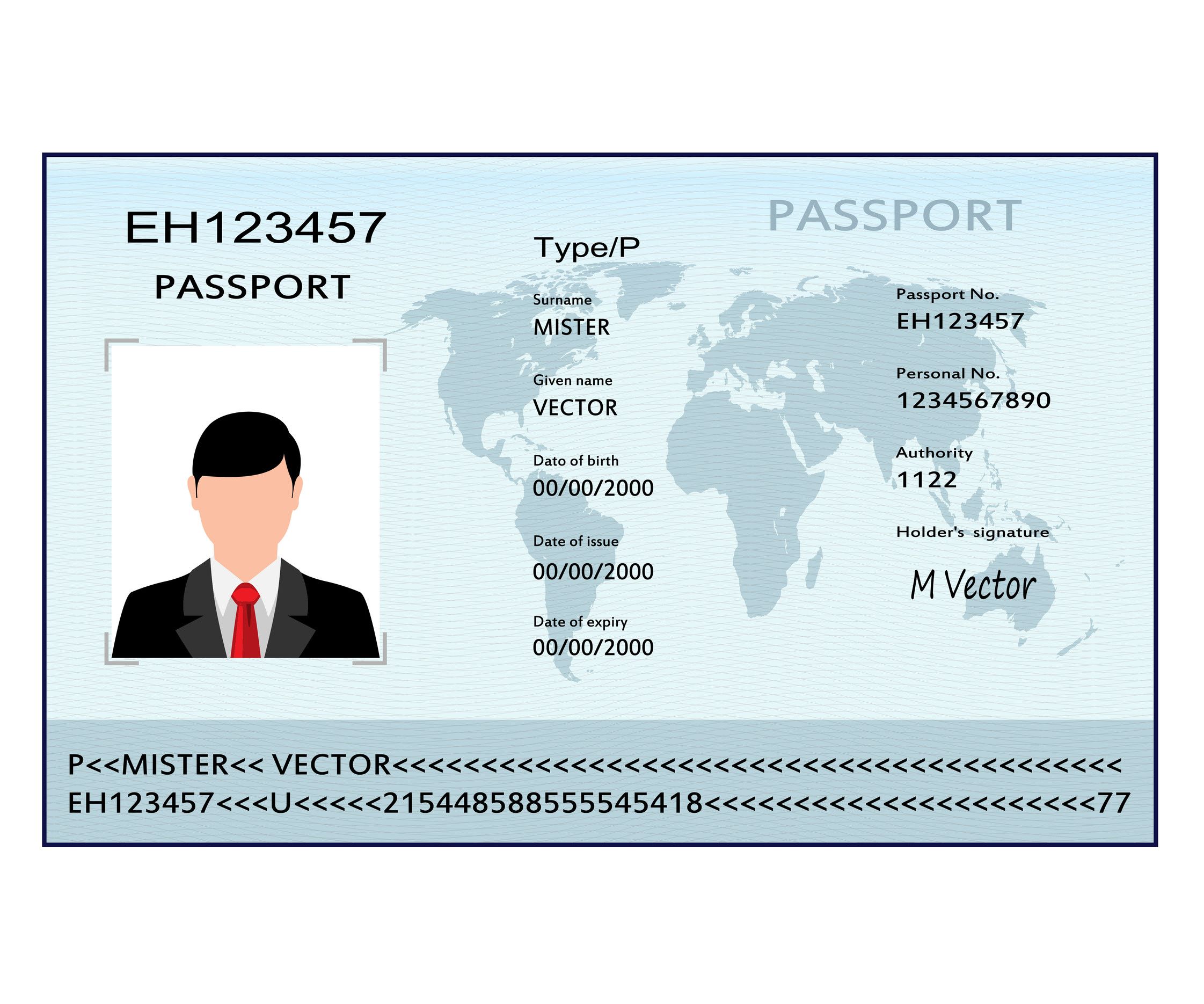 Reisepass mit biometrischen Daten Identifikationsdokument