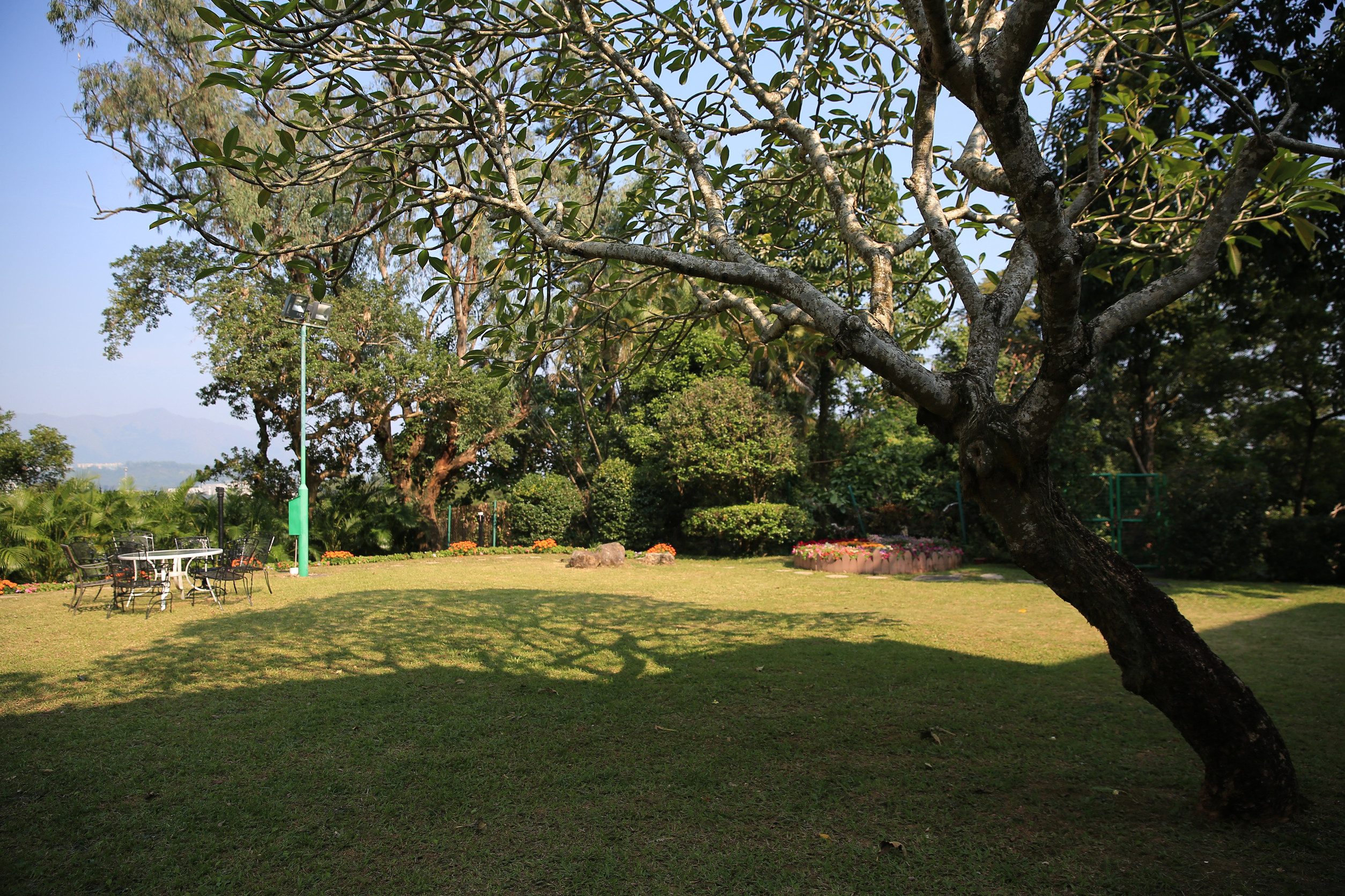 Üppiger grüner Garten mit Bäumen, Sitzgelegenheiten im Freien und malerischer Aussicht