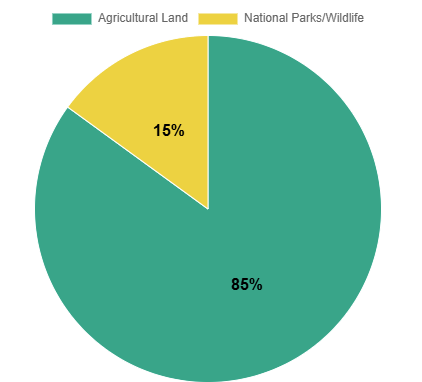 pie chart