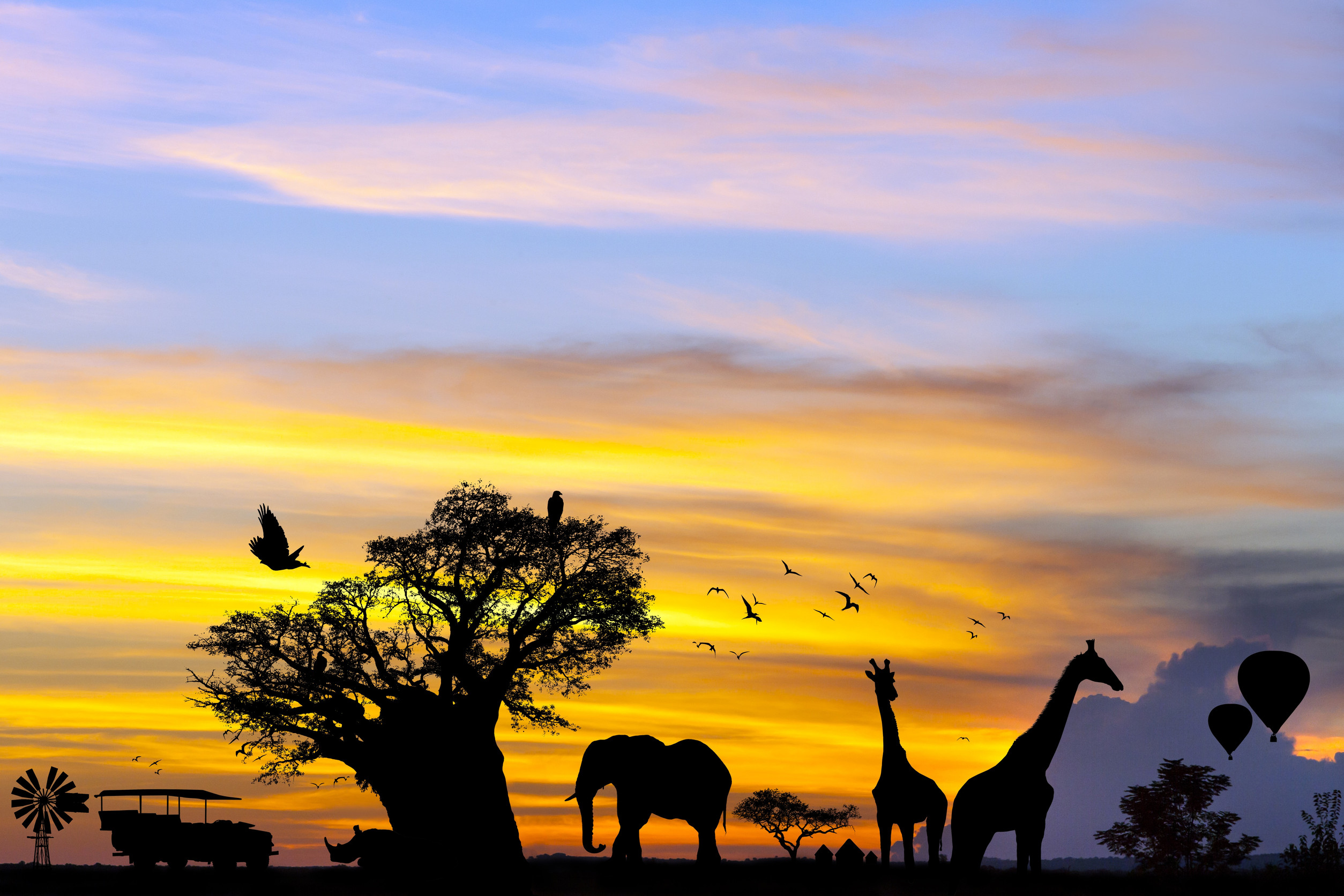 Safari Tier Silhouetten bei Sonnenuntergang