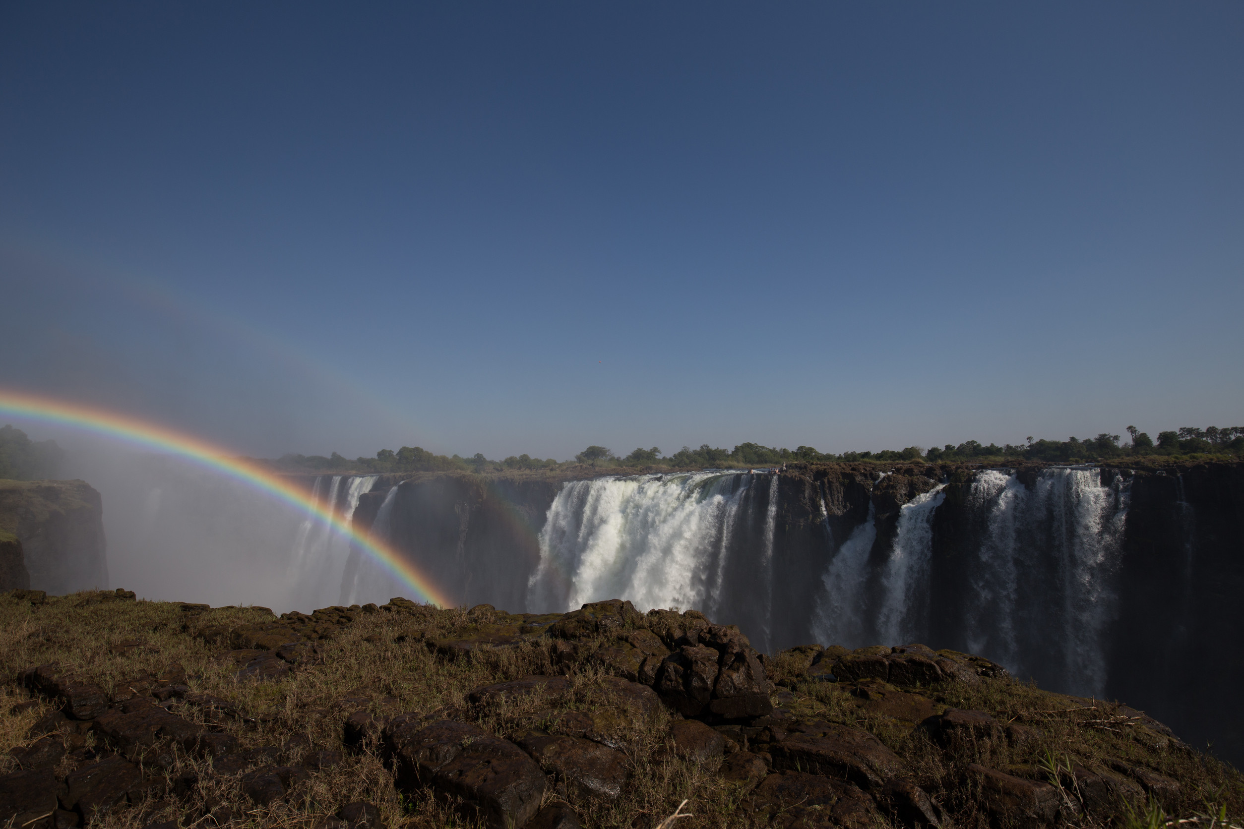 Victoriafälle mit einem Regenbogen, der sich über das herabstürzende Wasser wölbt