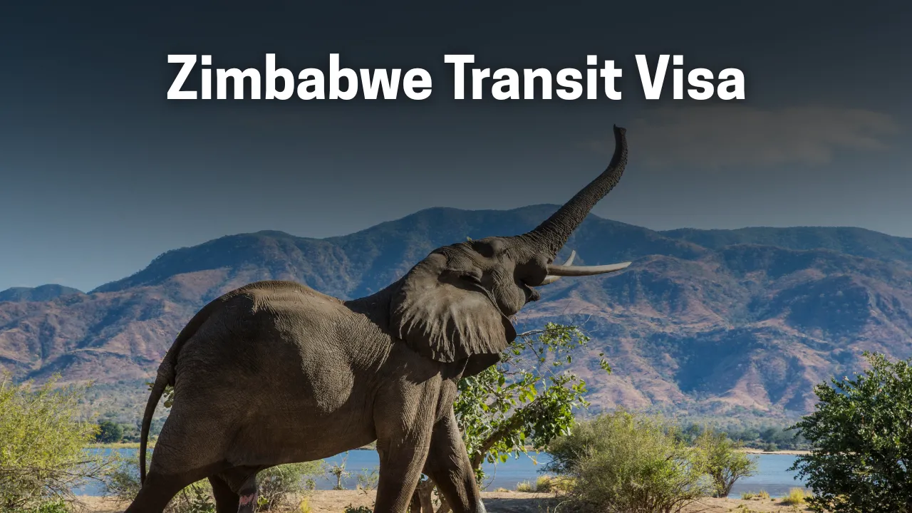 Zimbabwe Transit eVisa